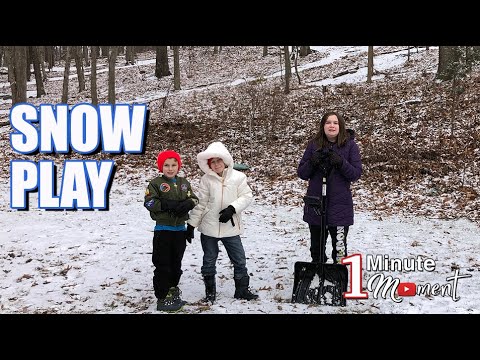 From Sledding to Snowball Fights: NYC's Wild 2026 Blizzard Experience