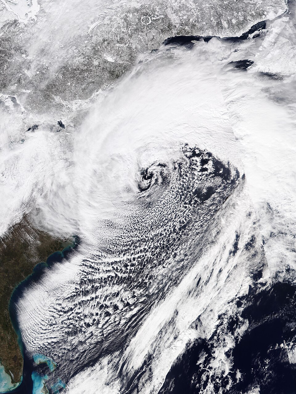 NYC's 2026 Blizzard: A Decade's Worst Snowstorm Documented